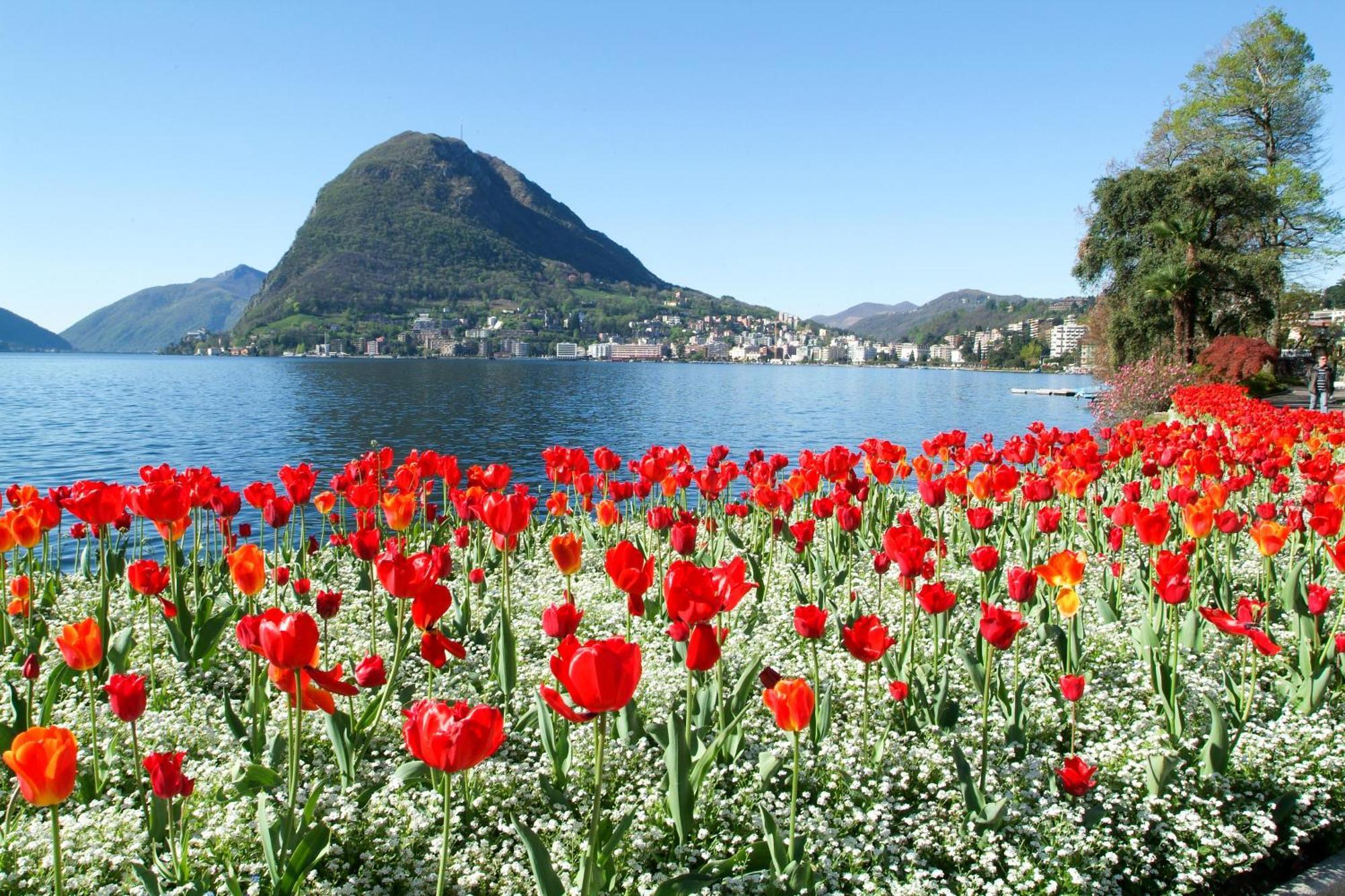 Ferienhaus In Lugano - Happy Rentals Esterno foto